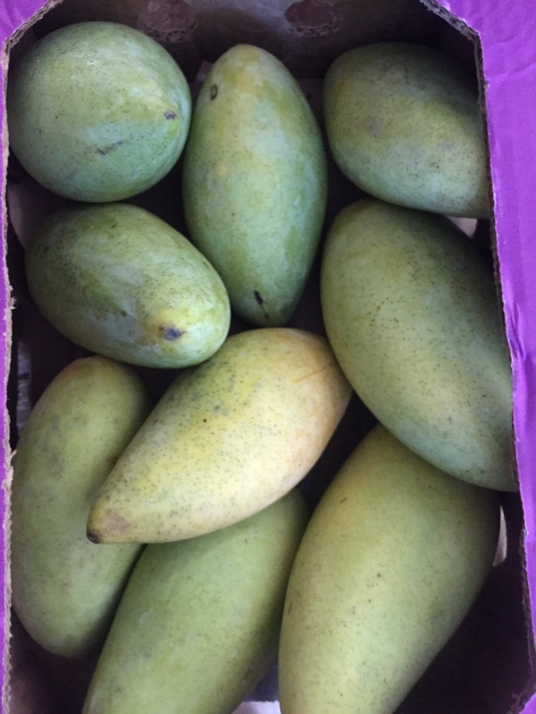 8F6DA5BF-C10F-4C99-9C72-BE949C392248