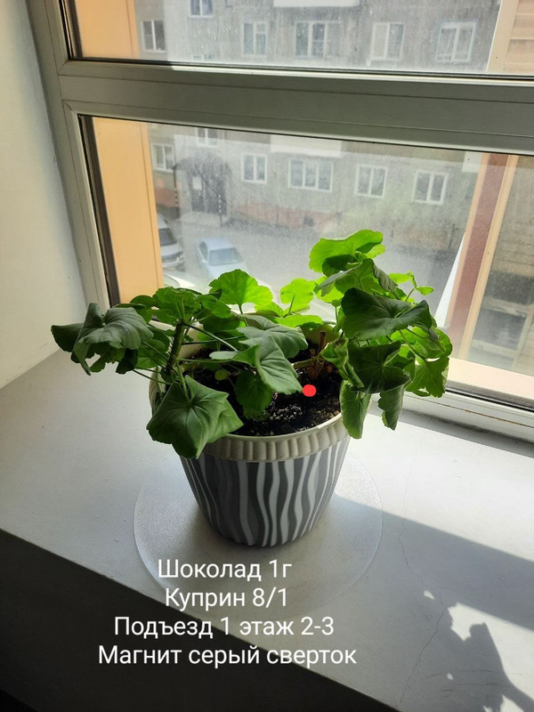 ULSTOTTNEUQUYTS