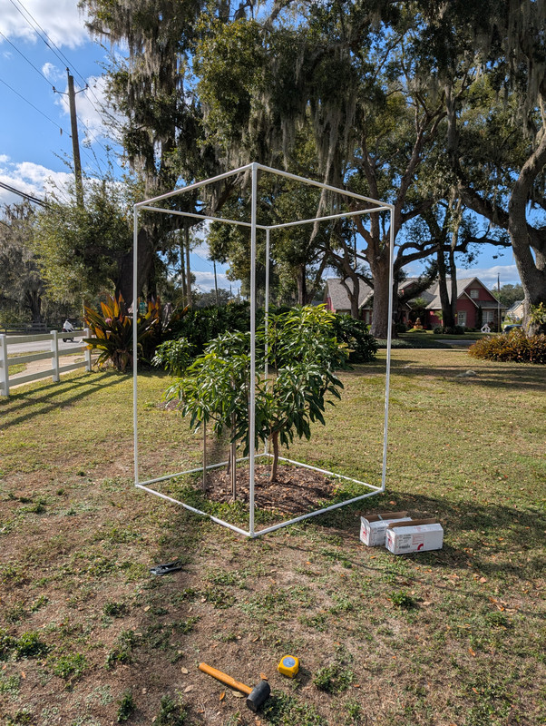 PXL 20251227 192238811 MP