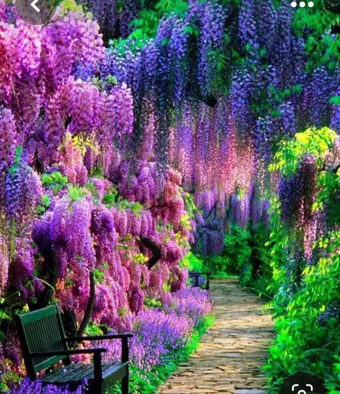 Screenshot_20230601_003304_Pinterest