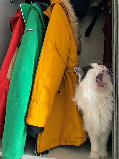 5526-C575-2-E74-43-AF-AC8-A-C03-AD13-C4-