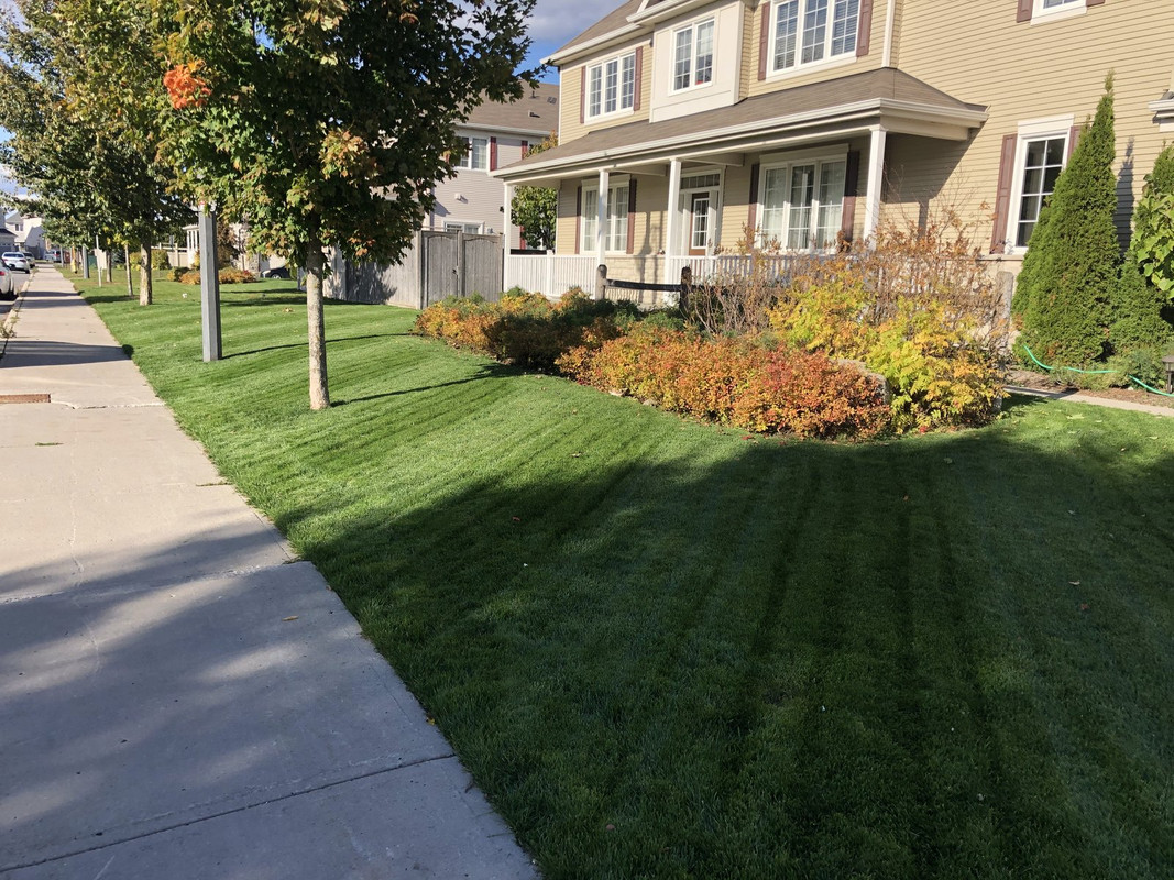 69516072-0A9E-4A46-946E-4BE8F7F6101A