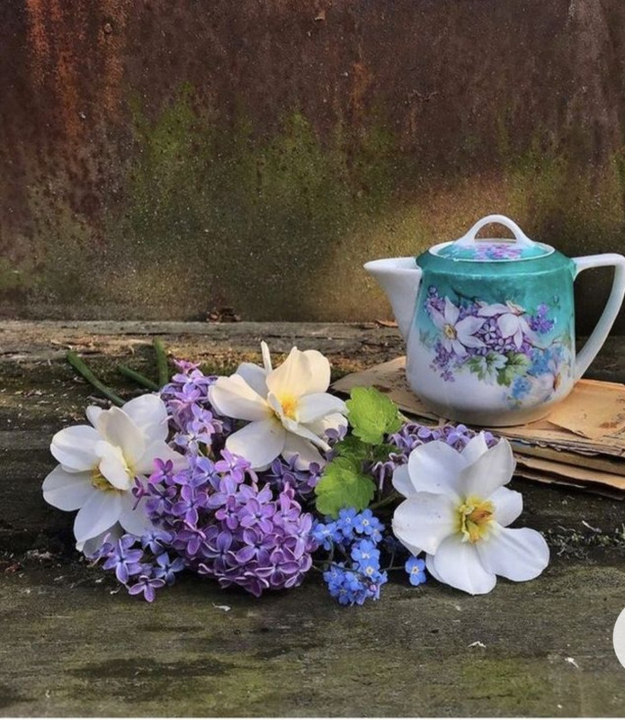 Screenshot_20230124_002632_Chrome