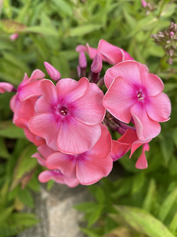 D4420373-4D9C-4918-B3B5-2218AED2CD96