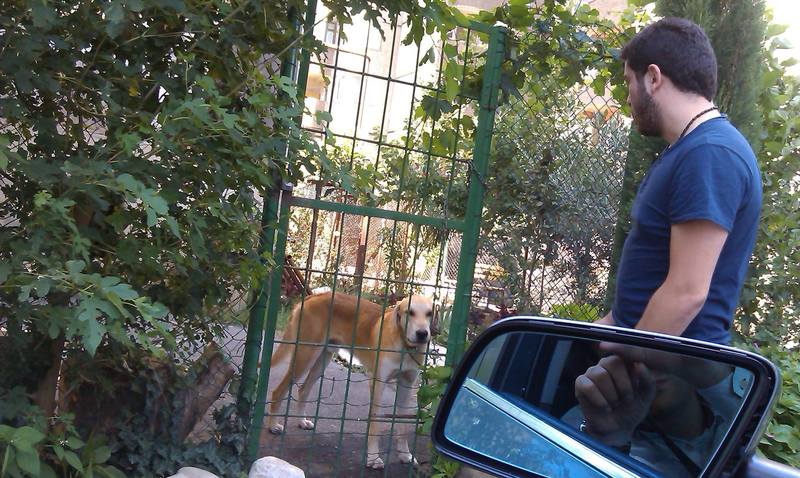 1008807_1386899324866916_621511763_o (1)