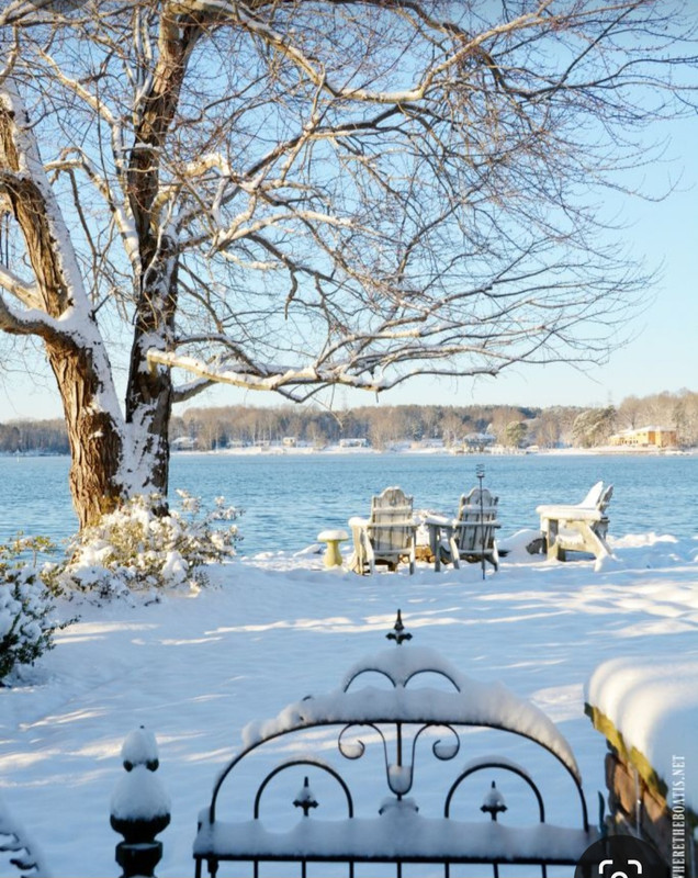 Screenshot_20231118_195155_Pinterest