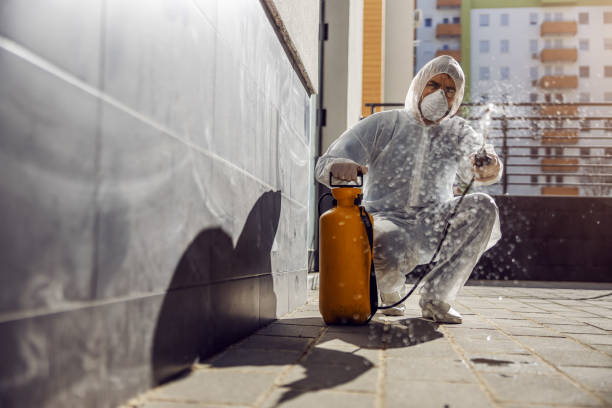 Kissimmee Termite Treatment