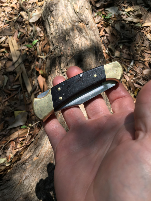 0FCAFF31-2491-4D8C-8956-37283DFAFC92