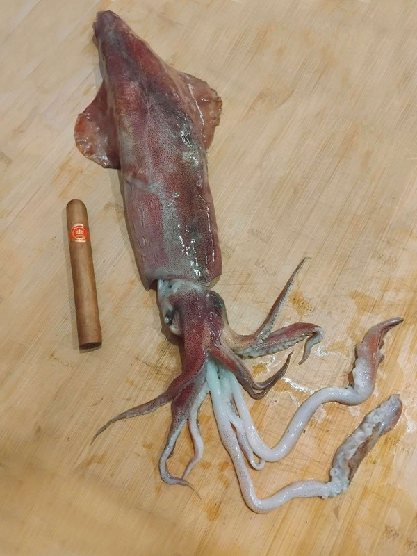 καλαμάρι χουάν 1