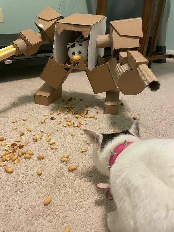 daily-picdump-39-1.jpg