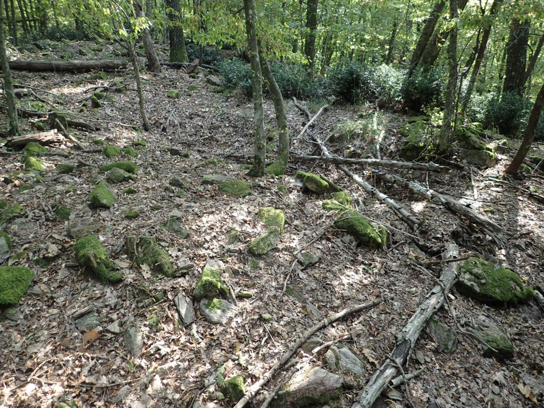 RUTIZAM SRBIJA - DragoševacJerinin grad (jagodinski) (6)