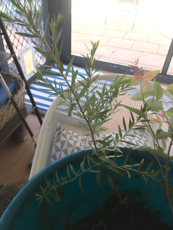 CB2444B2-33C9-4CD4-A301-E9A2DA03CFAF