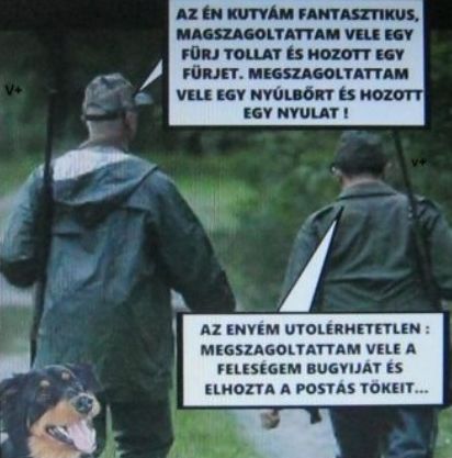 https://i.postimg.cc/1zJq041L/az-en-kutyam.jpg
