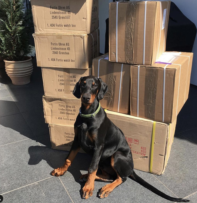 D7ED14FB-D4AF-453F-97FB-5101E85287C9