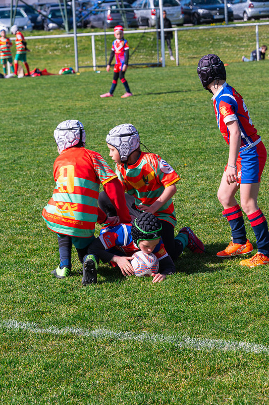 tournoi-de-latlantique-2026-adonis-griffon-156-55180399252-l