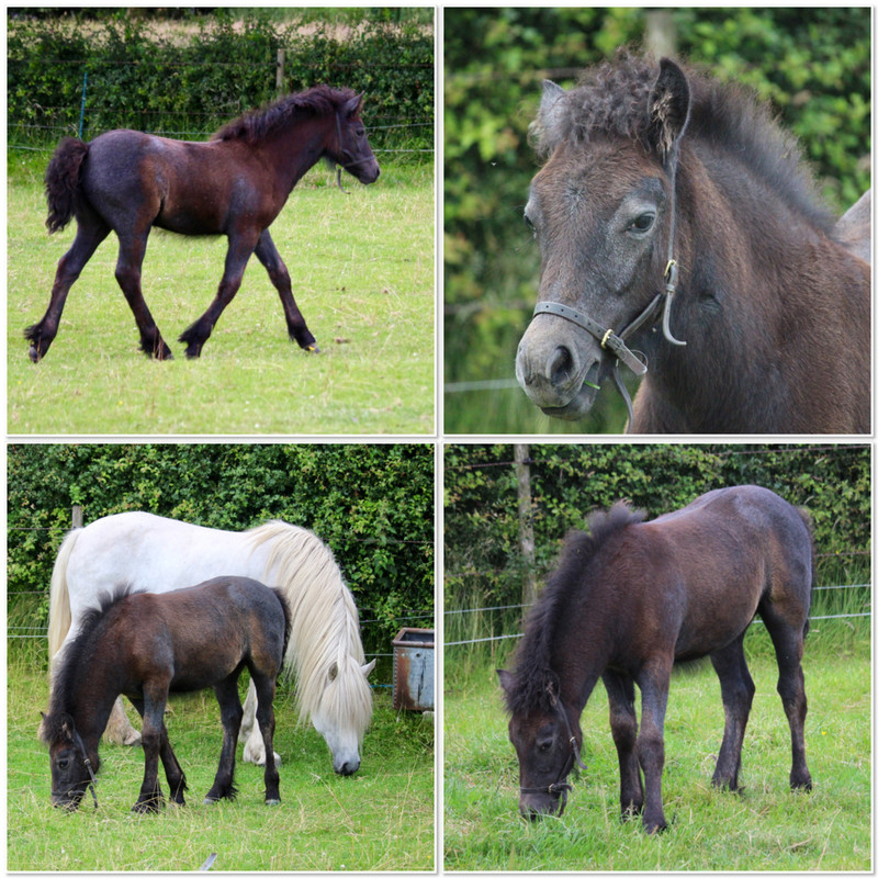 4CA188BF-08B2-4F53-ACA6-7FAA88573558