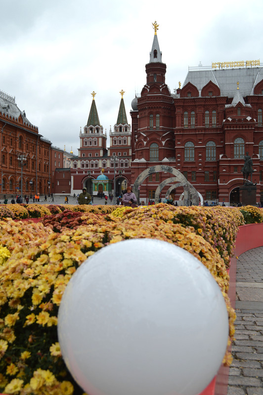 Ковёр из цветов возле Кремля. 