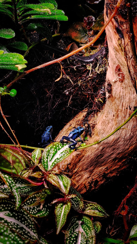 WhatsApp Image 2024-02-27 at 12.15.21 (1)