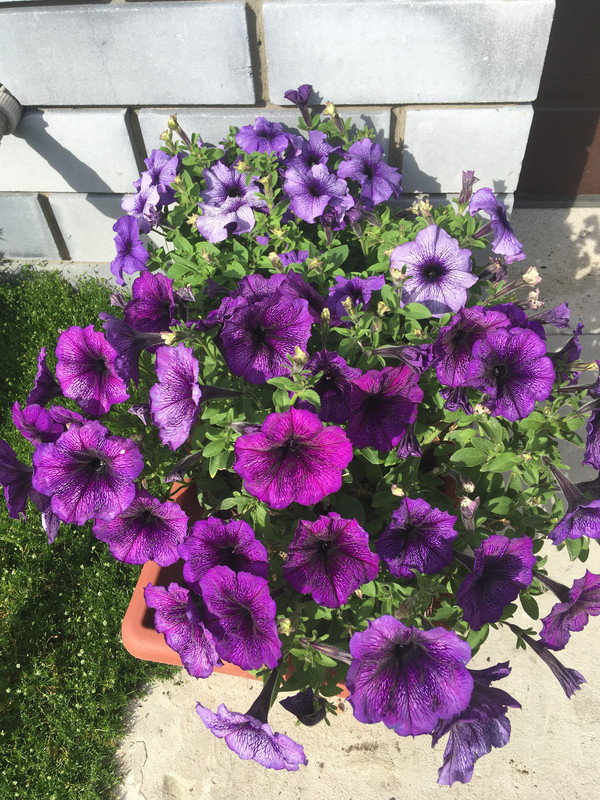 E3CBEAA0-8D16-469E-AF68-E66FFD7A9825