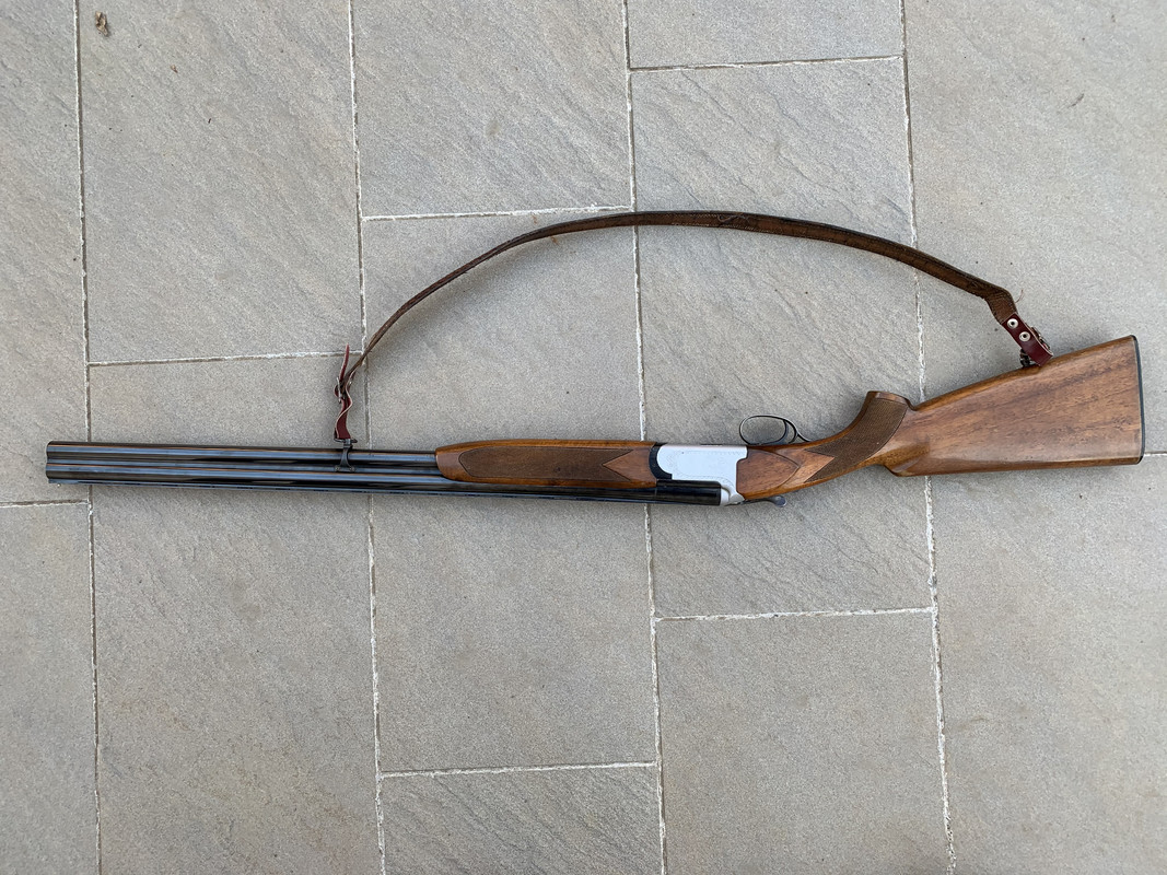 5E8A5D25-5D95-46D4-9A47-49A1784107E7