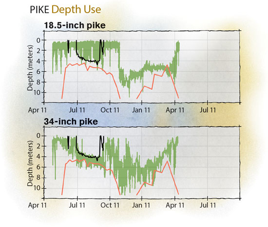 Pike-Depth-Use-In-Fisherman