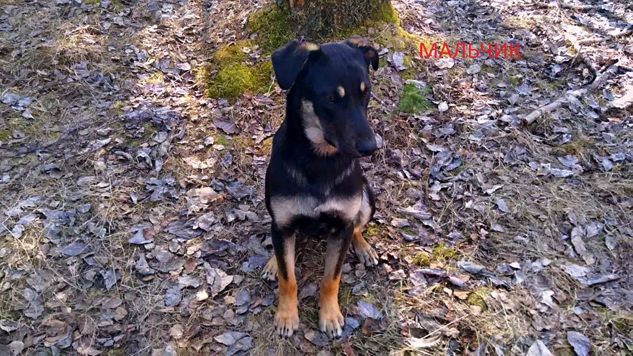 0E3C5A9A-E84B-48C7-BA97-1A1773A93937