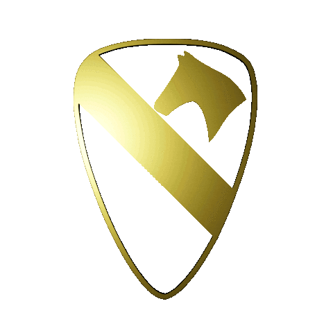 spin-shield.gif