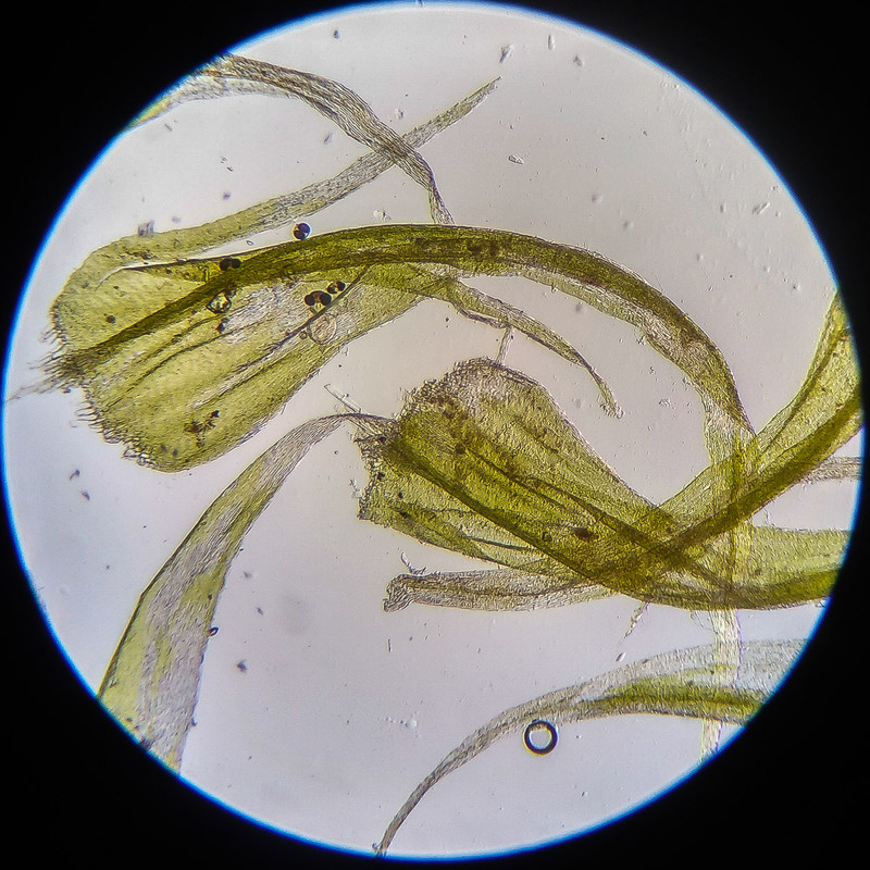 IMG 20250614 122643 HDR