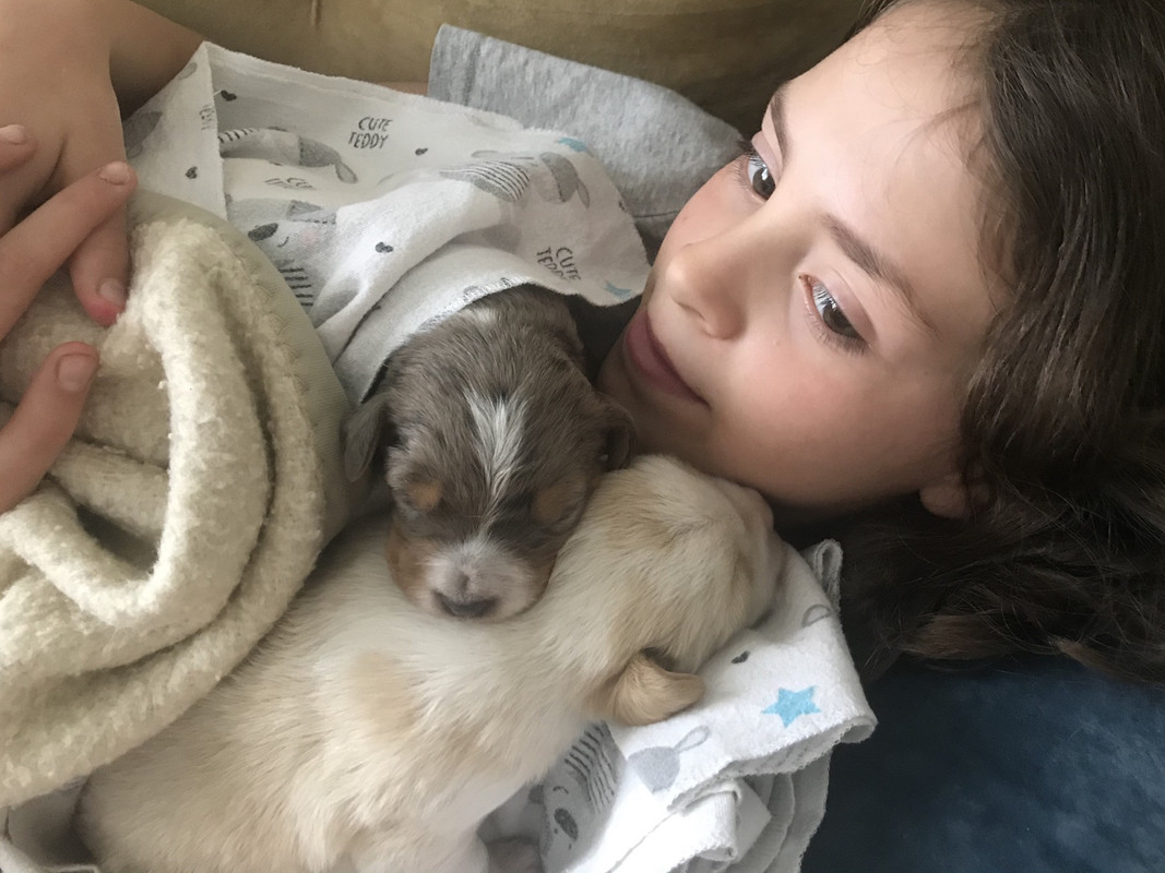 7D0662FD-087B-40DE-B466-AF186A1064E4