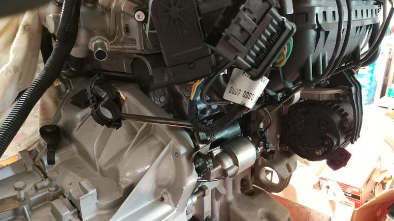 IMG-20180804-130255.jpg