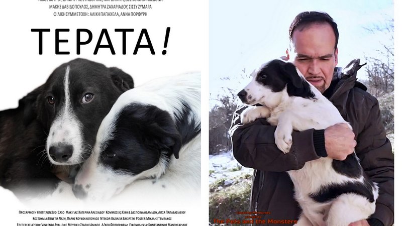 κοζάνη, ειδήσεις, νέα, Πτολεμαΐδα