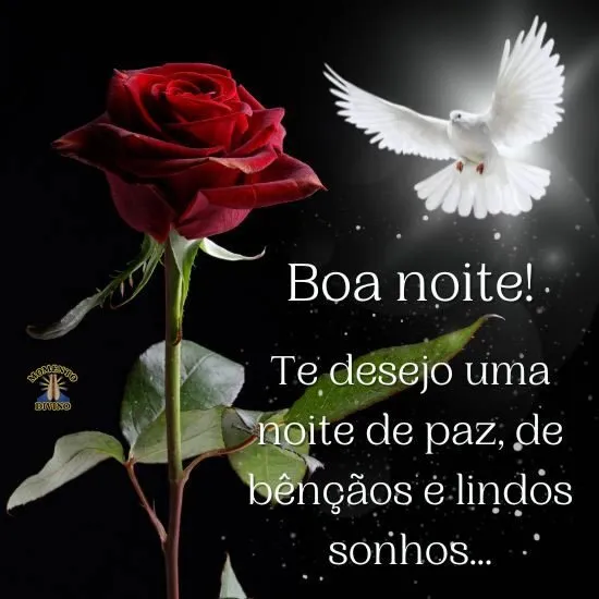 boa-noite-3144x-Yw5Cui-W9f