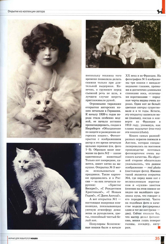 Друг кошек № 8 2009-33