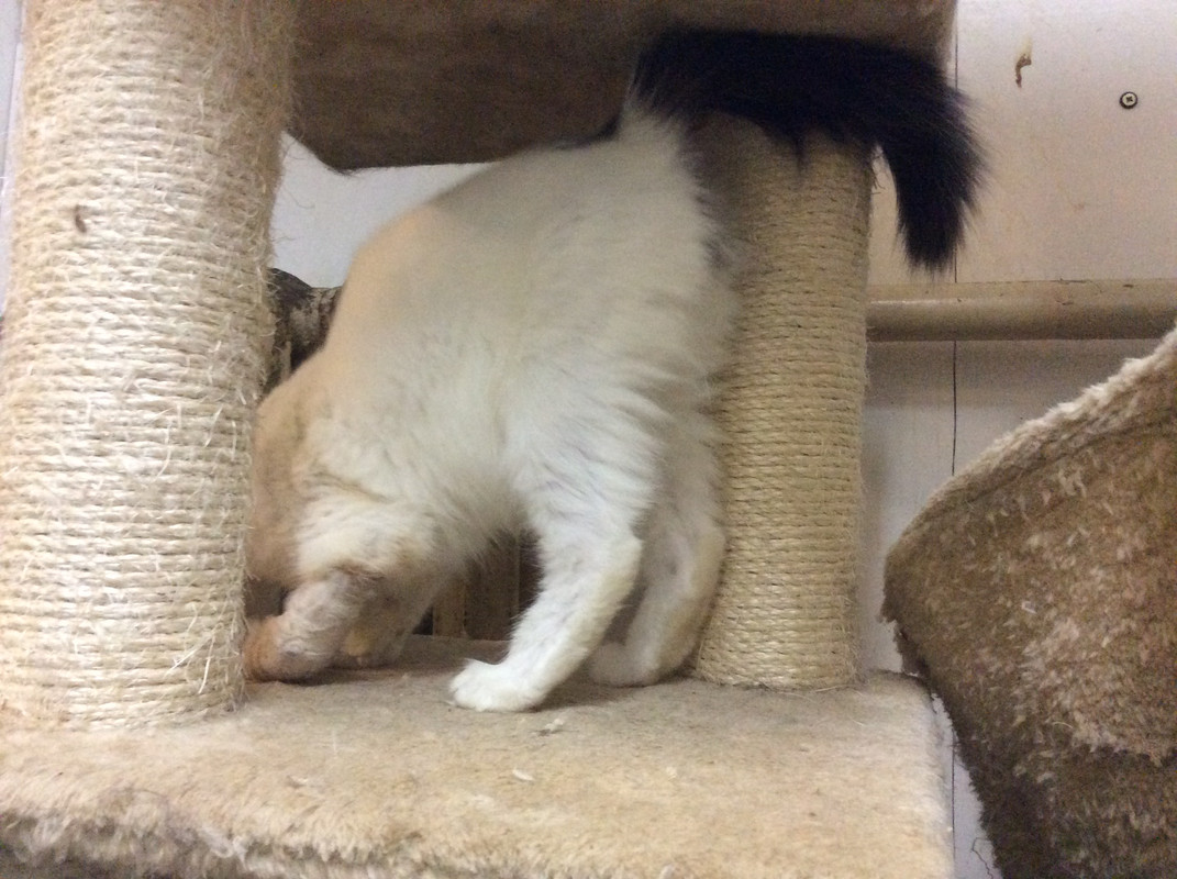 217B85CA-06B1-4397-940F-A596686D9B2B