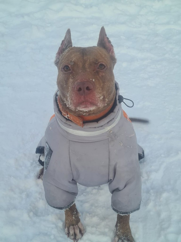 WhatsApp Image 2024-01-12 at 16.27.39 (1)