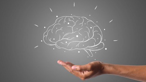 Neuroplasticity: How To Rewire Your Brain 2021