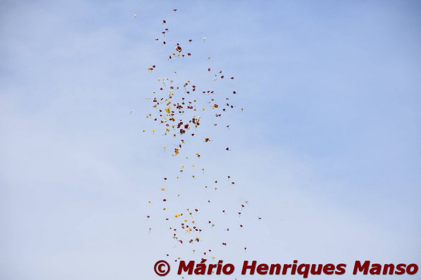 18953415_1489136297805933_487038341024846988_o