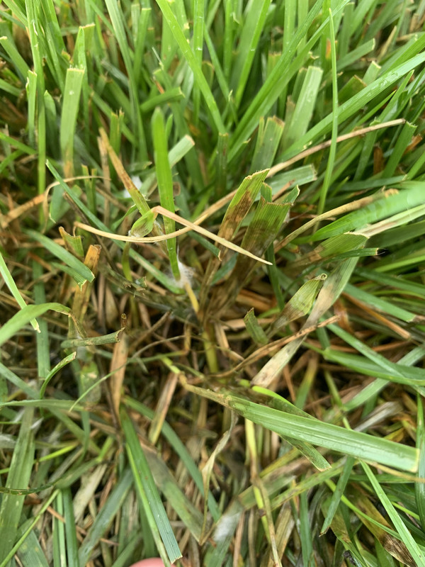 37976194-B888-4E99-8A15-B183E48770EA