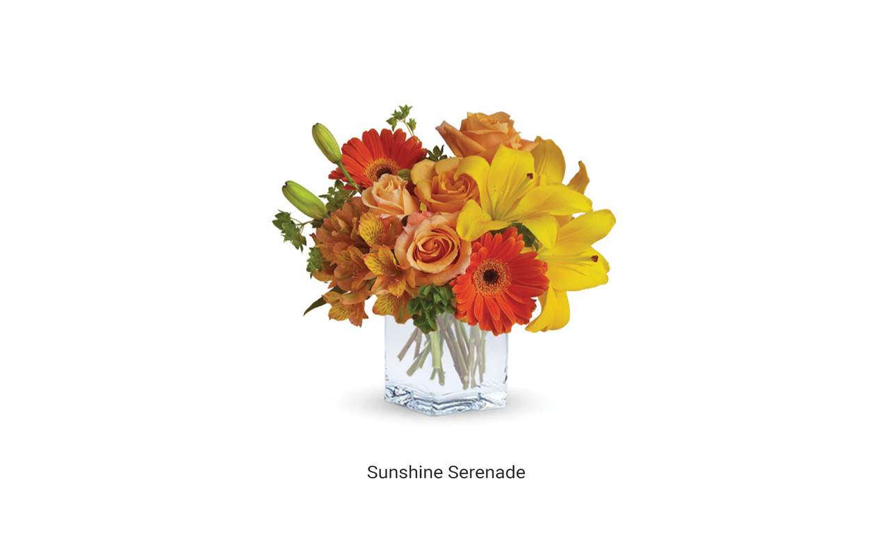 Sunshine Serenade