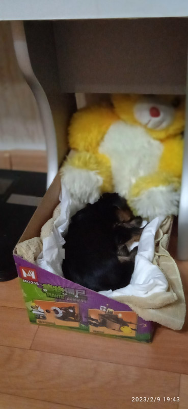 IMG-04e0cb1acee5e04733f94da13178e49e-V