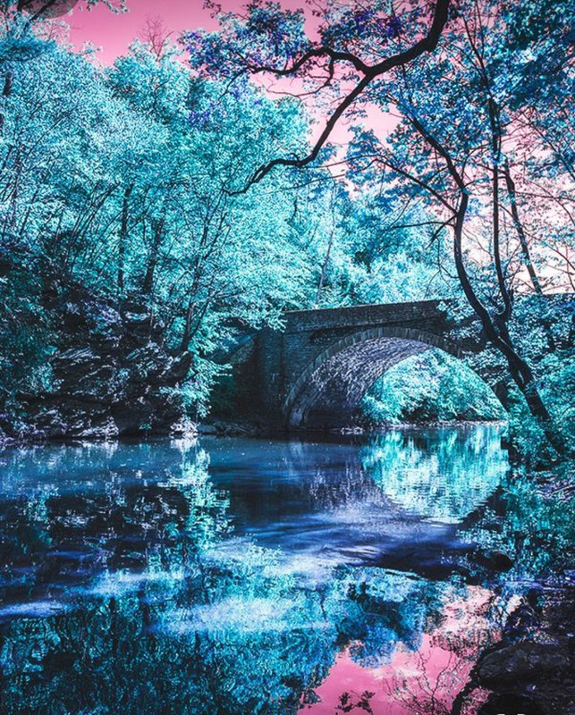 Screenshot_20240202_203435_Pinterest