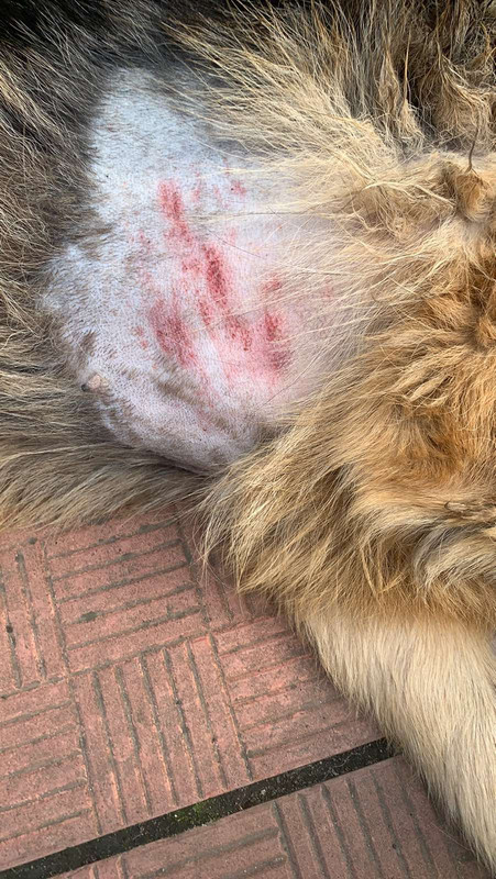 EEAF691A-A6EB-4829-80DA-E8987776E0FD