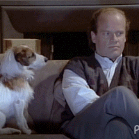 media-1993-av3.gif