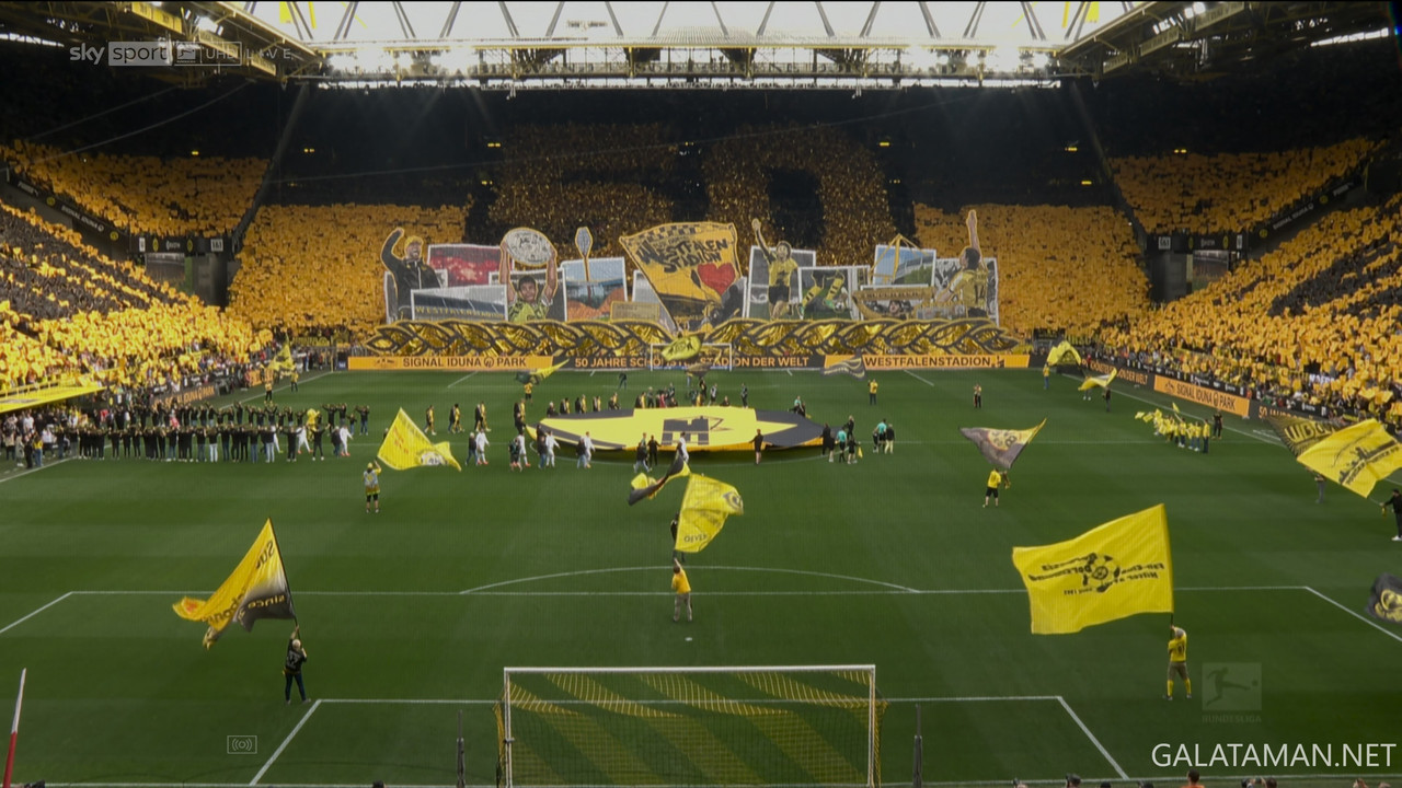 20240406-DOR-STU-BL_1-4K.ts_snapshot_00.08.15.667