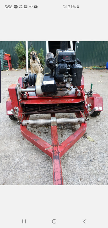 Screenshot_20191110-155641_Messages