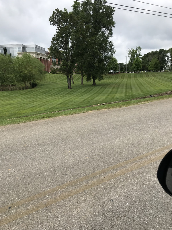 CCE39E9E-754F-4232-B977-9FC56ABCAD77