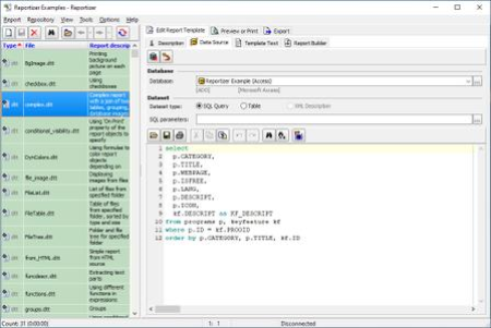 Reportizer 6.5.0.35 (x64) Multilingual Portable