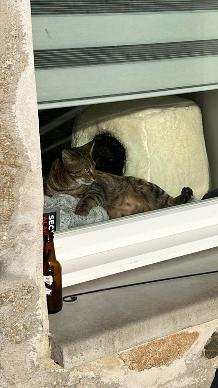 received_955731202215659