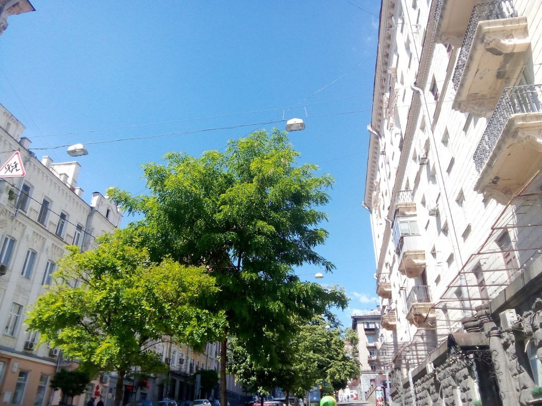 photo_2025-05-31 5.25.04 пп