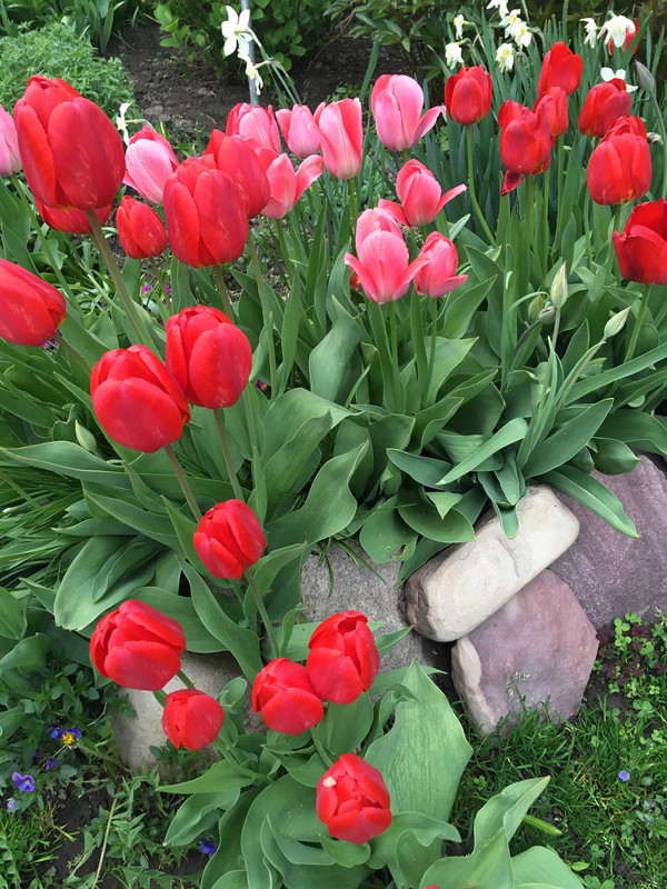 2B5A7062-042F-4AA6-8C41-7B8CAFA79934